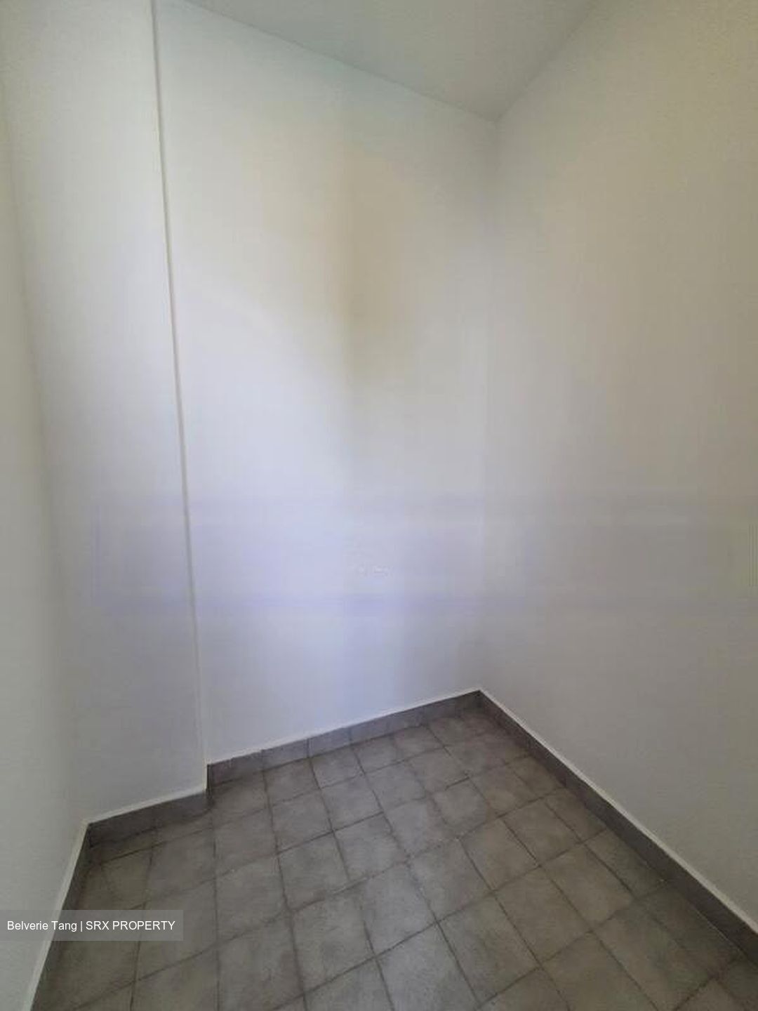 Gold Palm Mansion (D15), Apartment #447002771